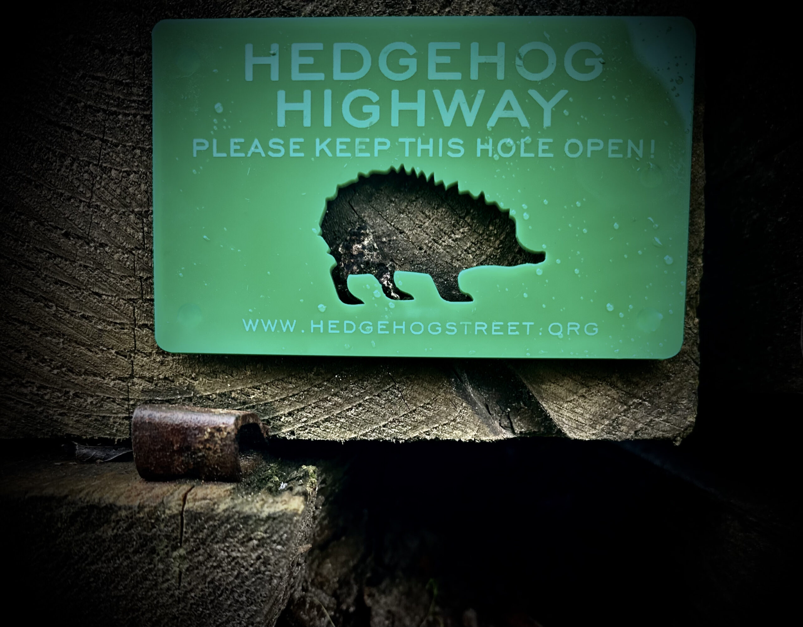 Hedgehog highway sign above hedgehog access path from hedgehog street 
