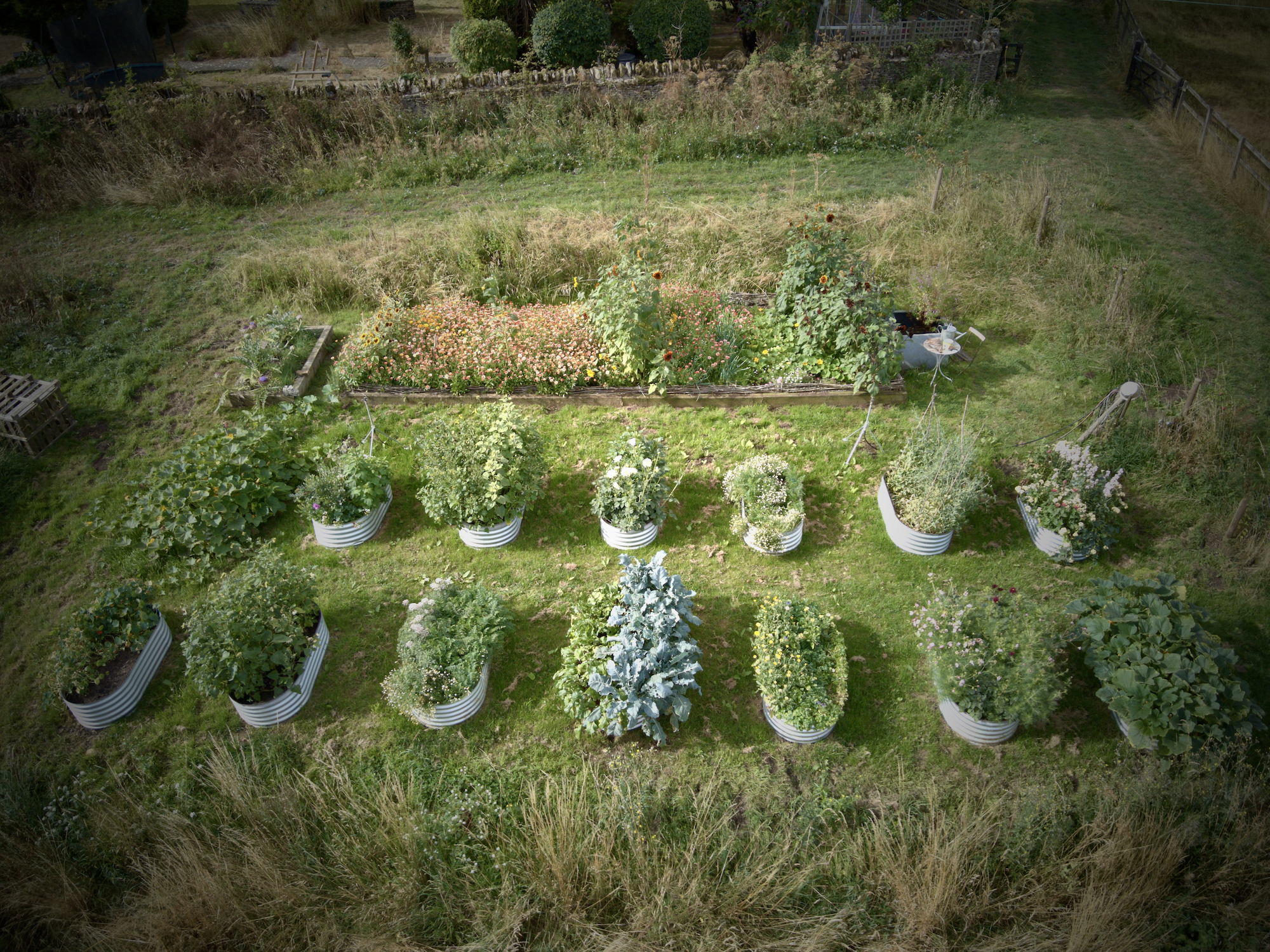 Productive garden drone footage with home grown veggies