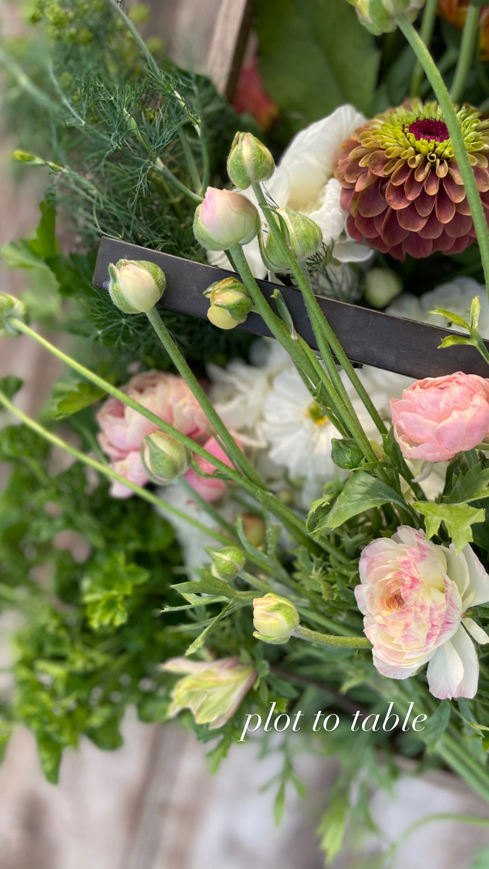 Plot to take basket full of cut flowers 