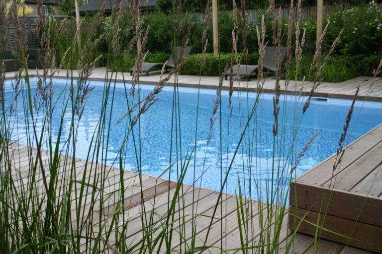 Swimming with deck surround with grass prairie planting in the cotswolds