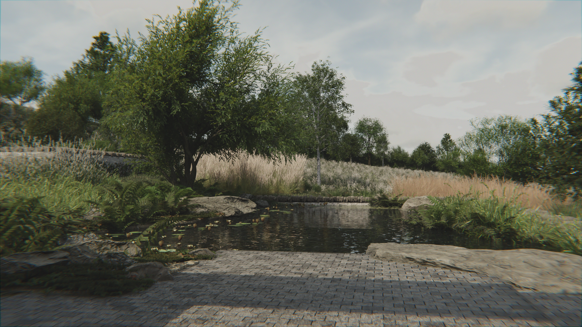 3d conceptual render of glasshaus garden with natural swimming pool