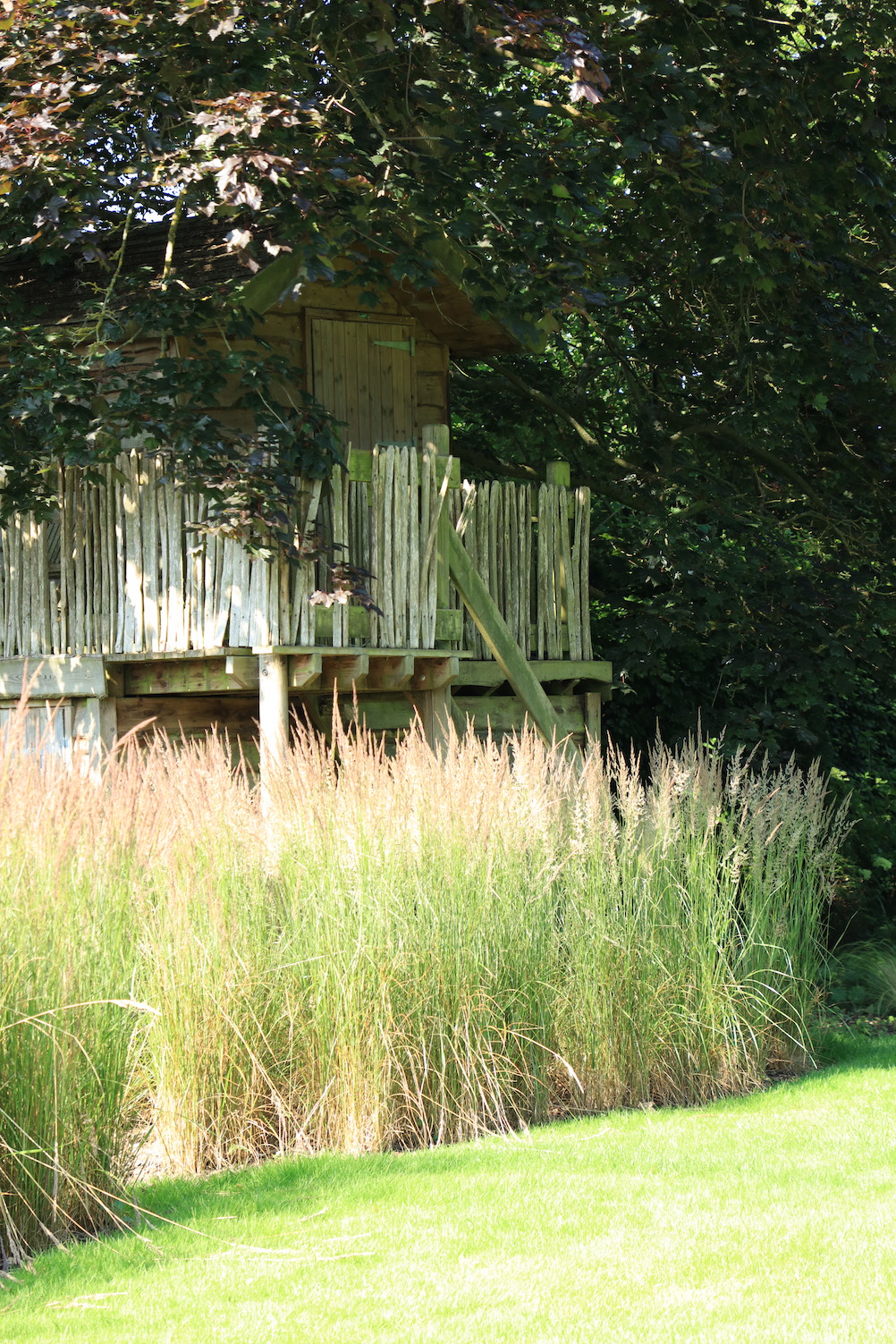 Secluded garden tree house surrounded by grass planting