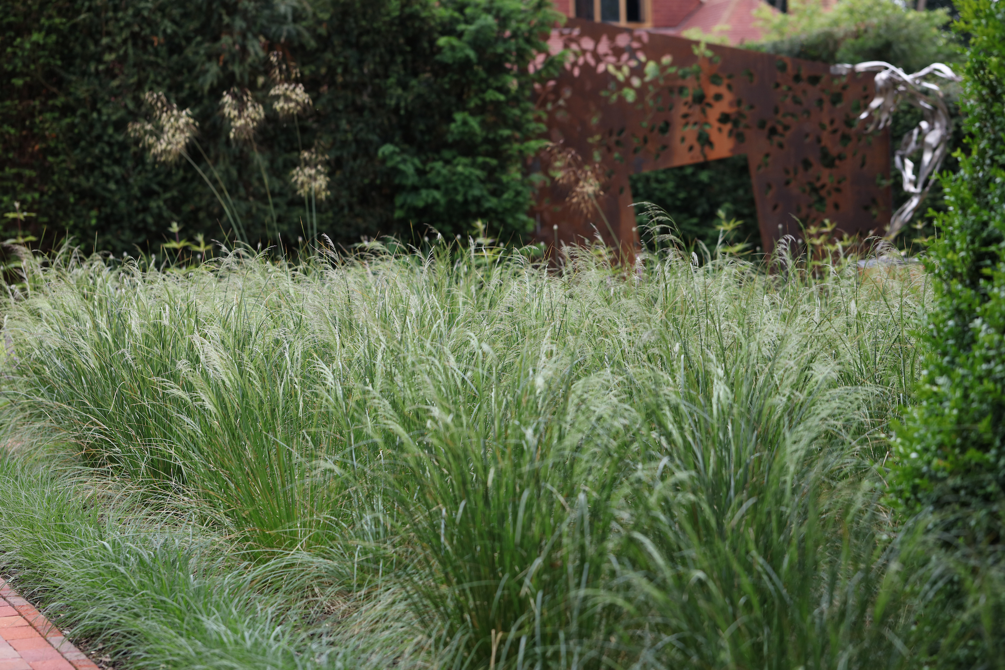 Grass borders at Harpsden wood house with Corten rose wall