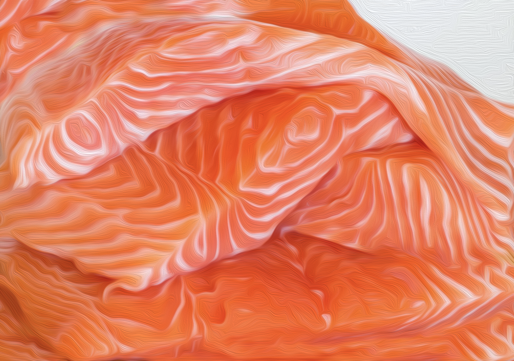 Fresh Salmon fillet 