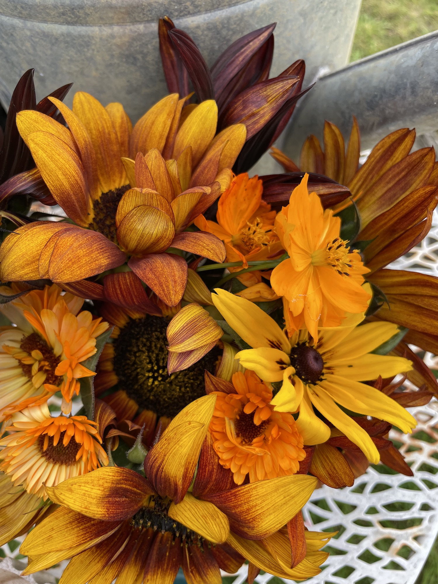 Cut flowers from the productive garden in shades of Autumnal orange 