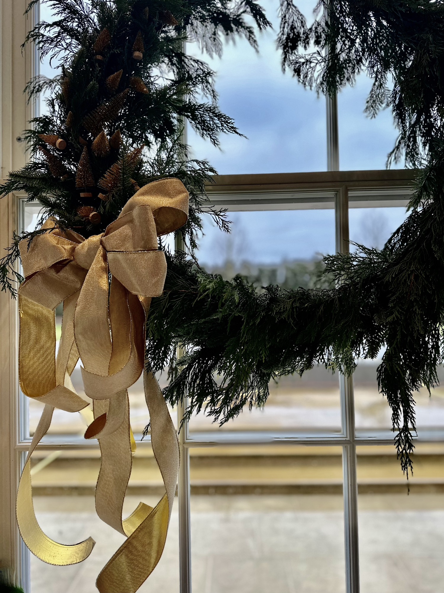 Giant conifer Christmas wreath in Georgian sach window finished in velvet gold bow 