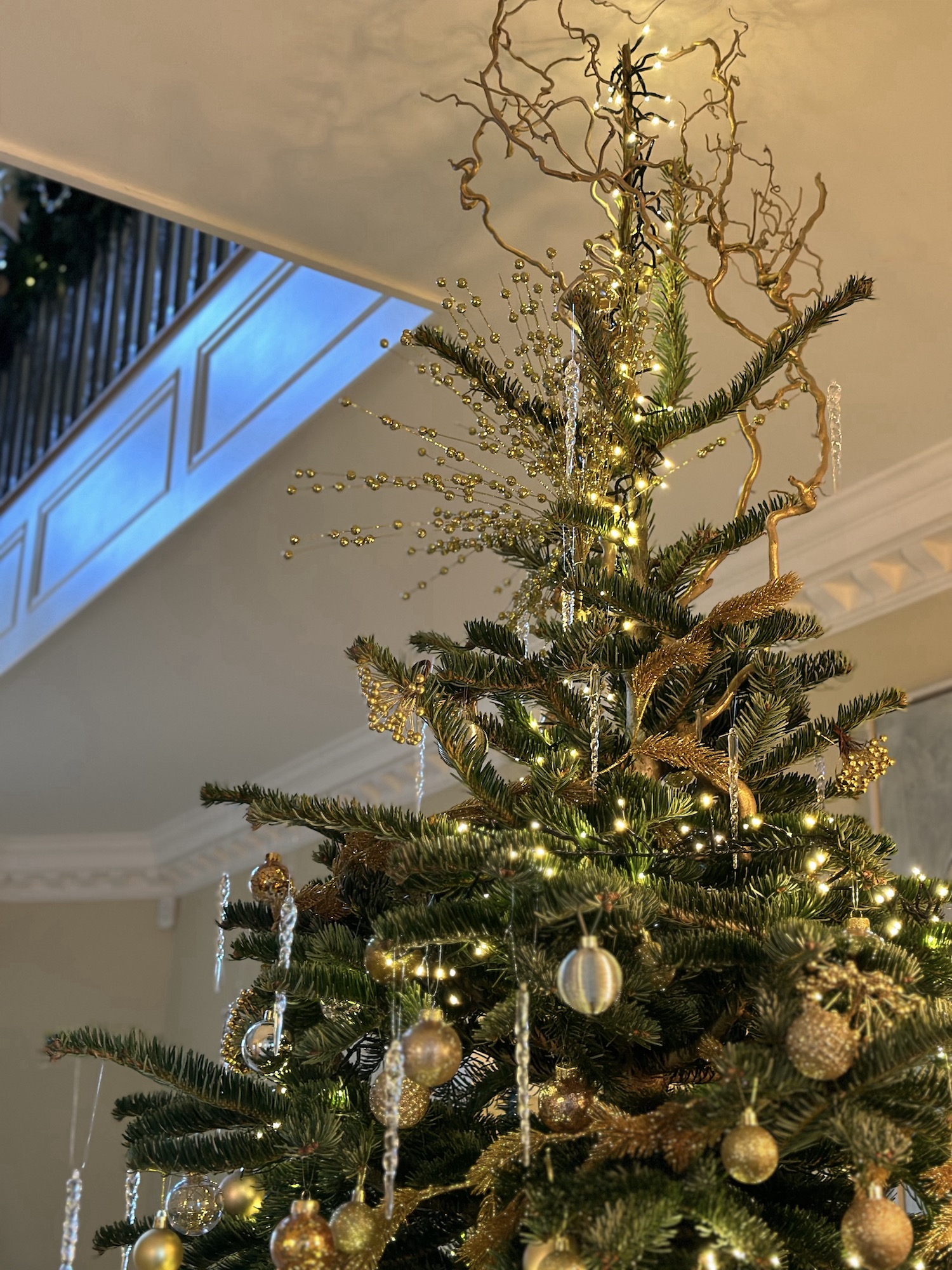 Close up of Christmas tree decorated with twisted hazel and gold baubles