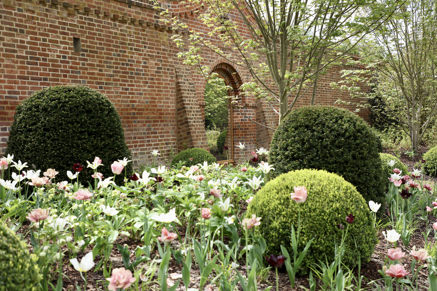 Candy colours Tulip planting border 