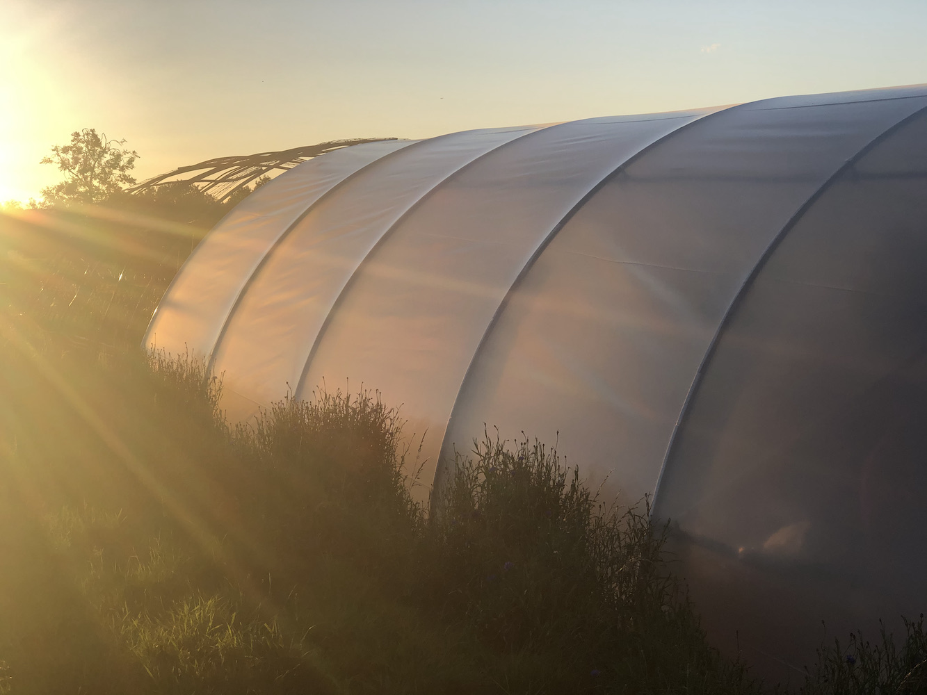 Peach sunset haze over polytunnel in cotswolds