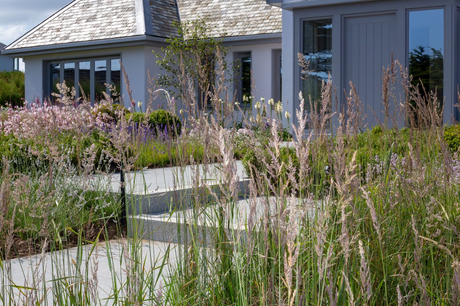 Cornish garden planting scheme with coastal grasses 