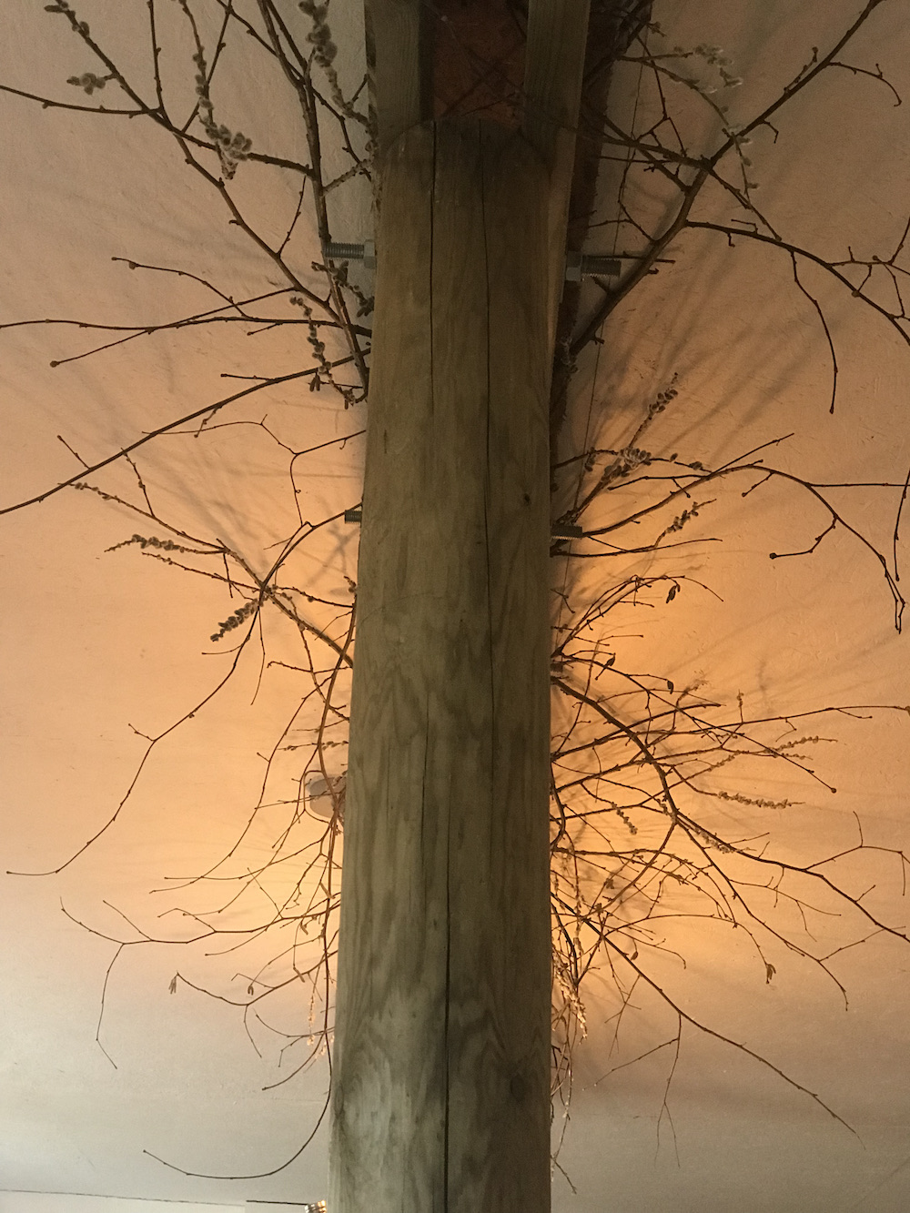 Wooden bream structure with lichen twig installation for Hendy Curzon Gardens, Peach Fuzz