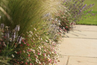 Soft grasses blowing in the wind at cotswold home