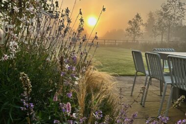Sun rises over modern country garden with prairie tapestry planting and concrete dining table and pallisade furniture