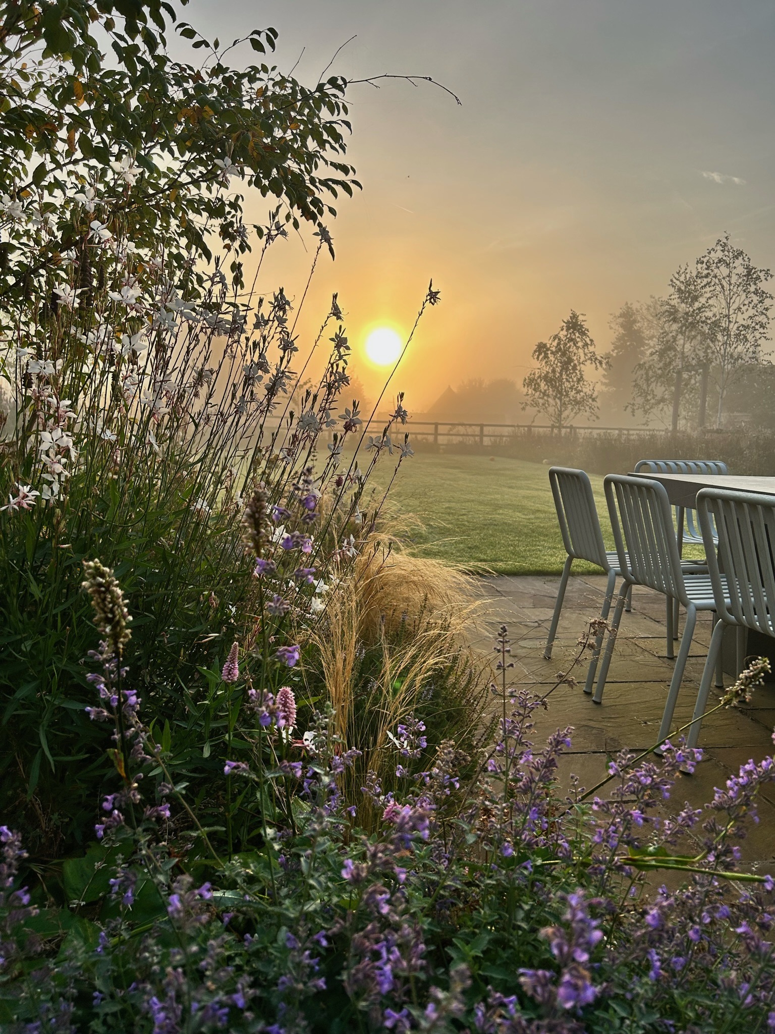 Sun rises over modern country garden with prairie tapestry planting and concrete dining table and pallisade furniture