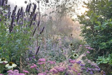 Packed floral border at cotswold contemporary garden by hendy curzon gardens