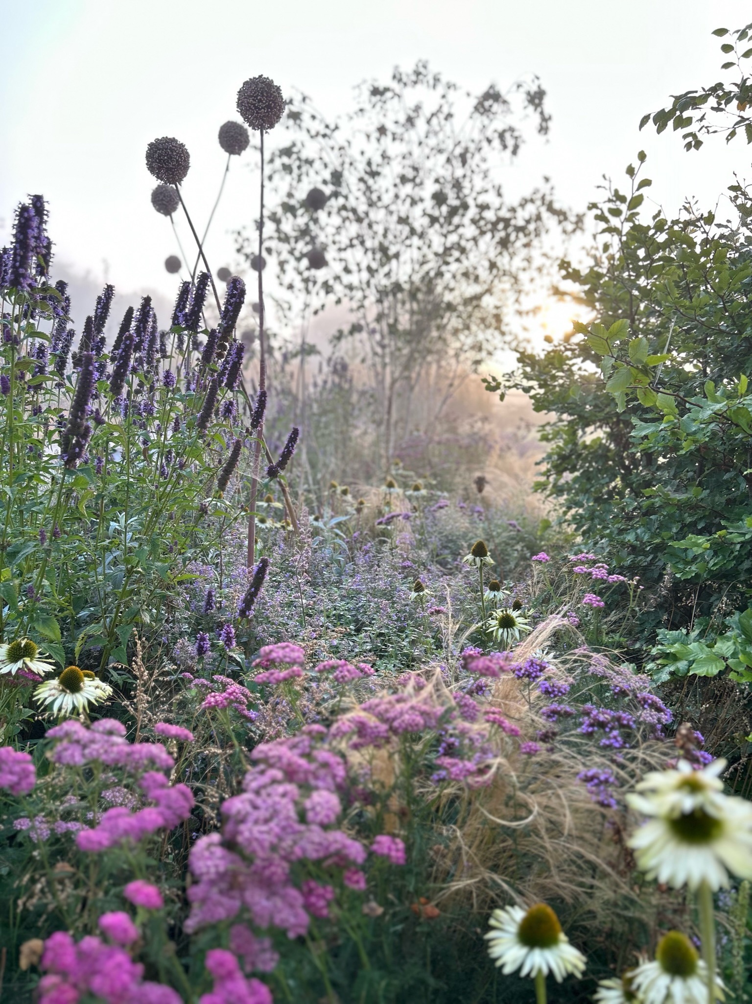 Packed floral border at cotswold contemporary garden by hendy curzon gardens