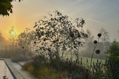 English country garden poolscape at dawn by hendy curzon gardens