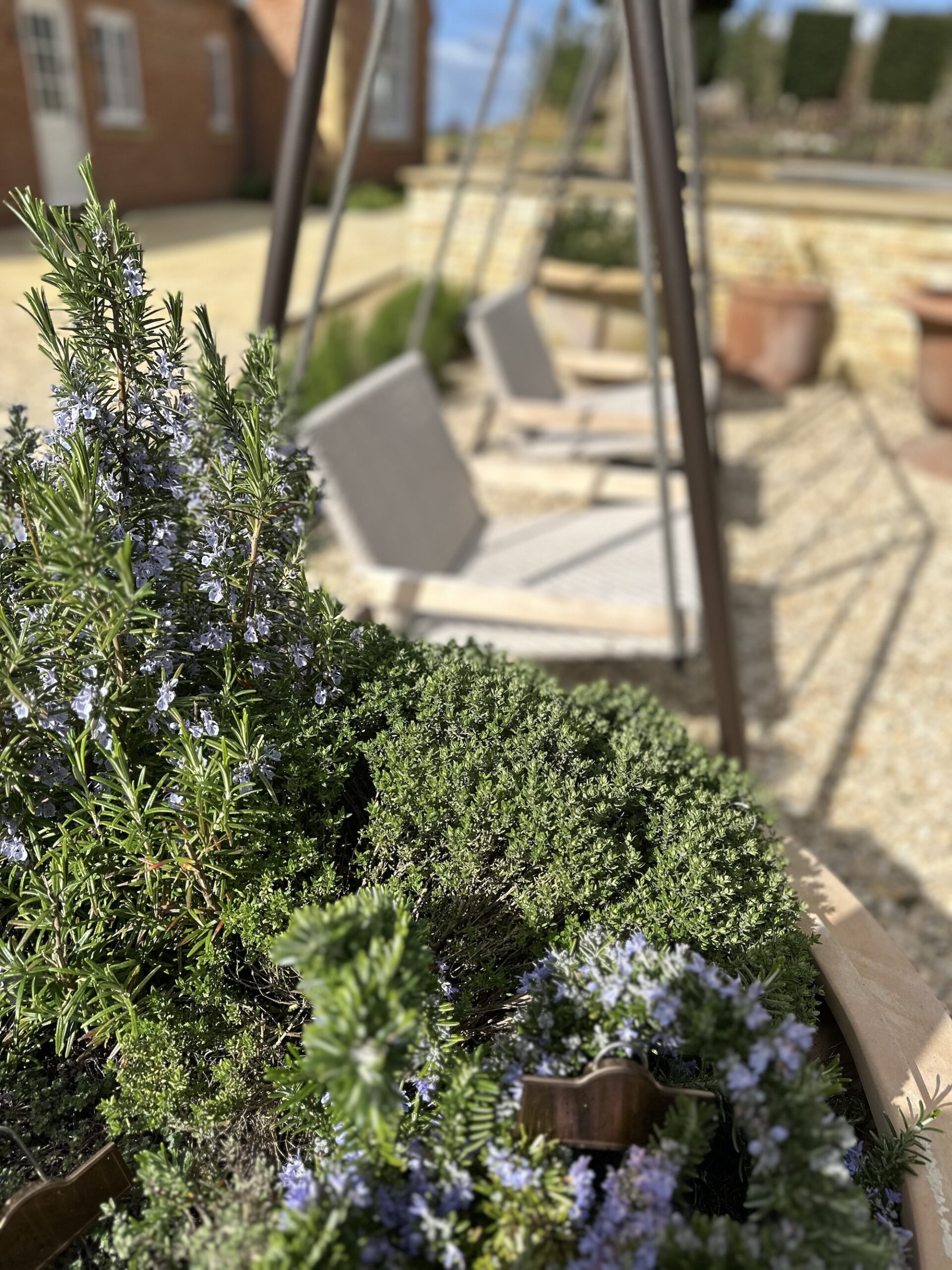 italian terracotta planter populated with herbs for cooking next to ethimo swing set at Sibford Park