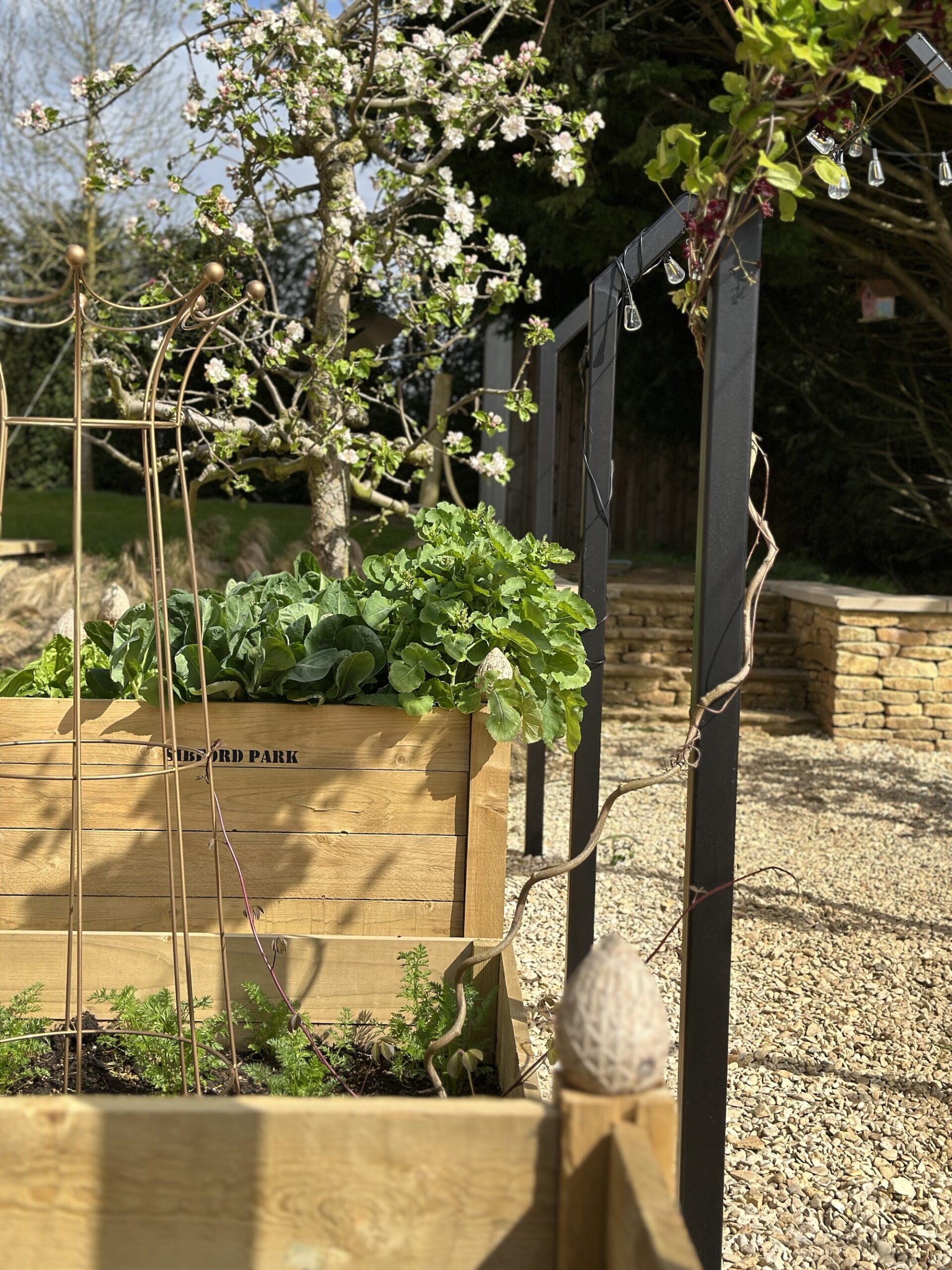 Wooden trough planters filled with hardy vegetable crops and blossoming fruit