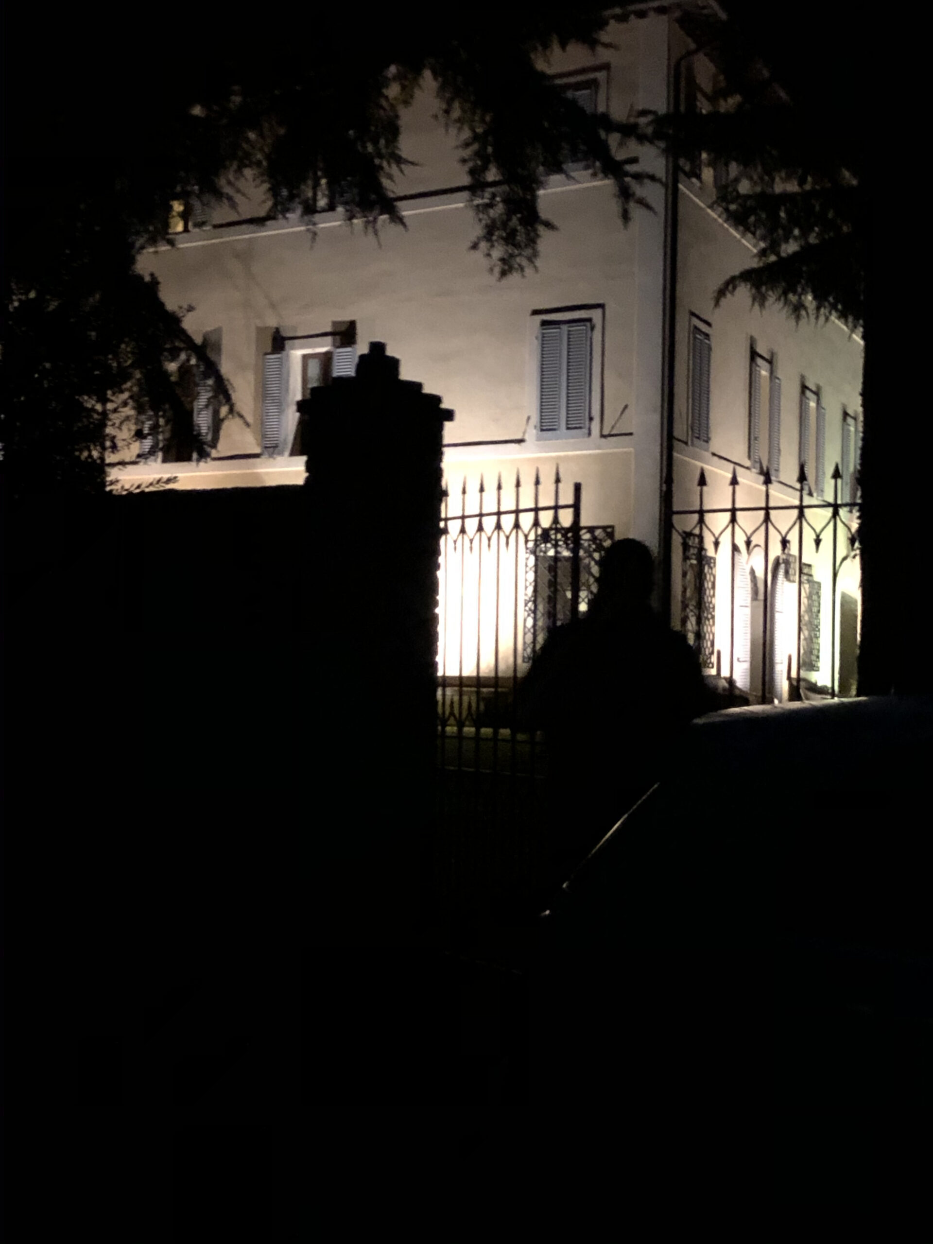 Fir trees framing night shot of garden designer walking through metal gates