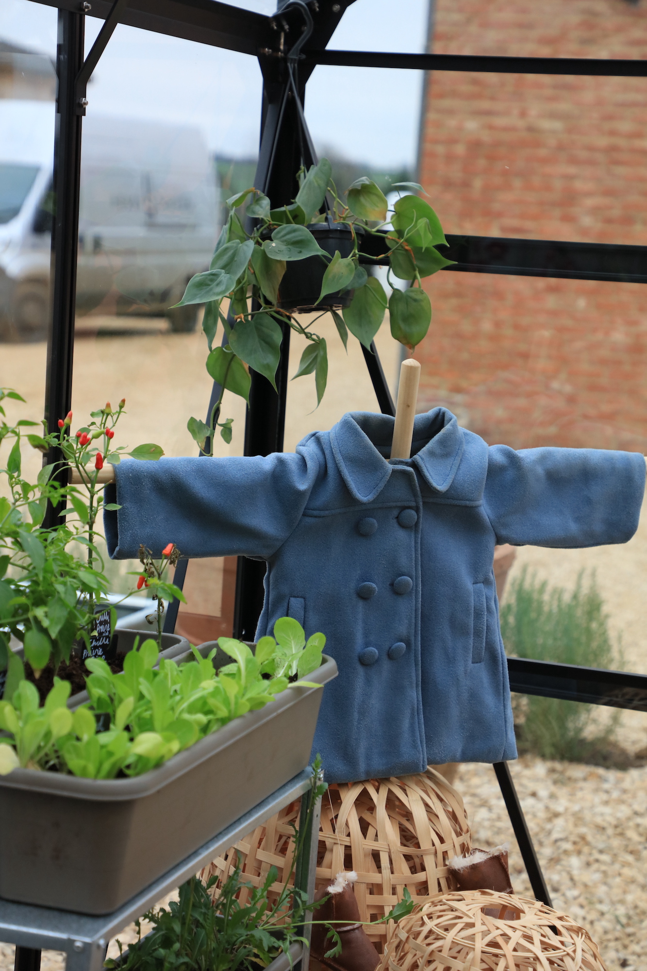 Salad crops growing in troughs inside productive glass house with peter rabbit scare crow