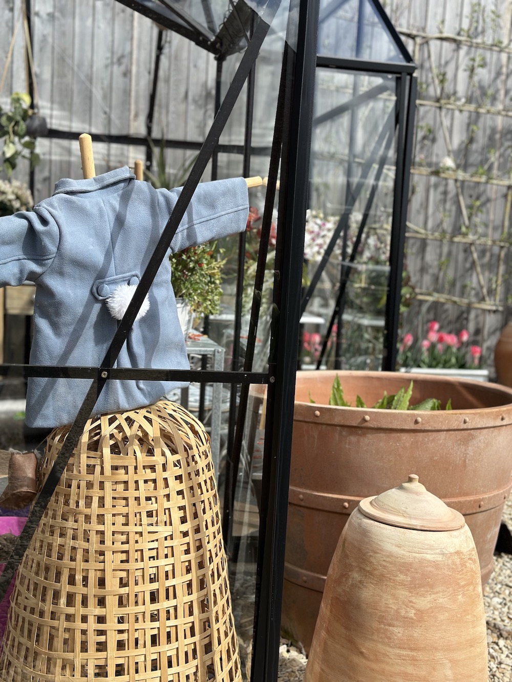 Terracotta pot cover alongside italian terrace terracotta pot. With Peter rabbit scarecrow in glasshouse 