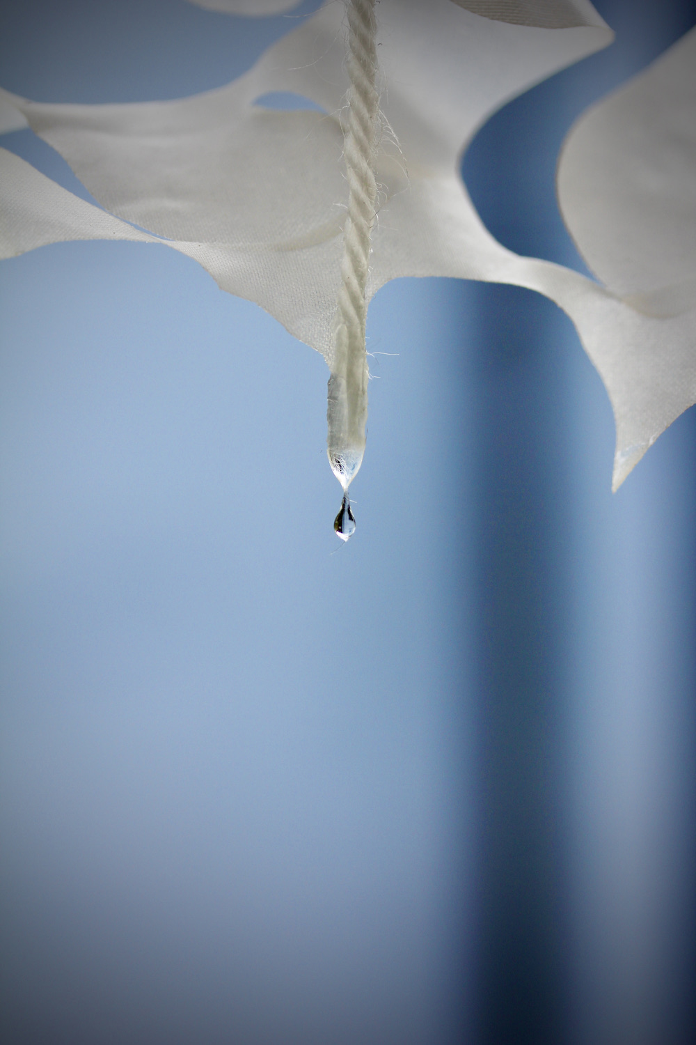 Water droplet off of canopy with blue background