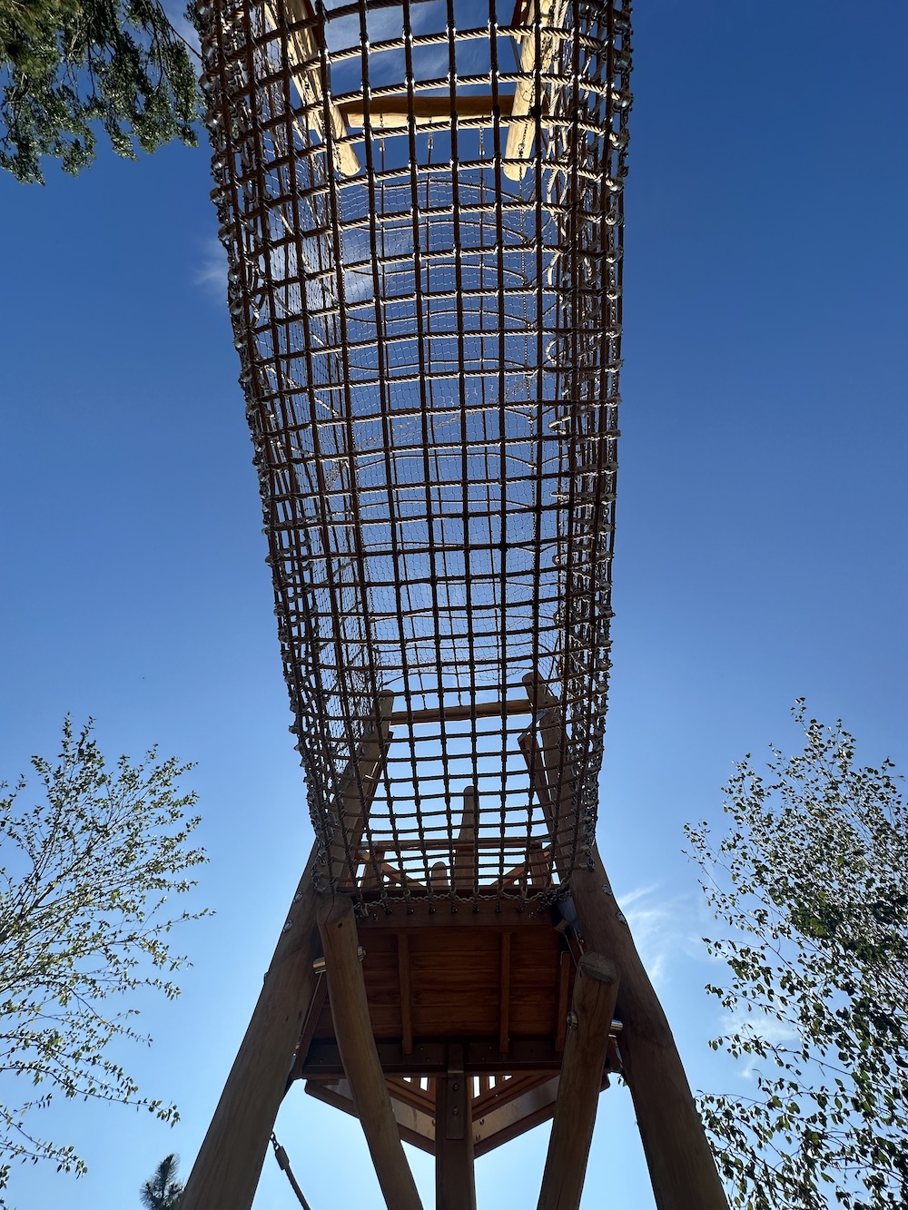 Robinia wood net tunnel from the ground looking up to blue skies