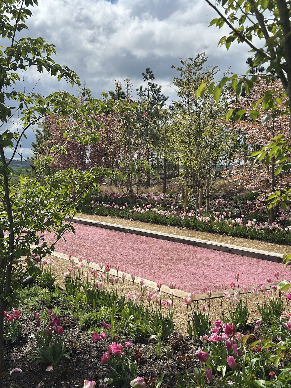 Pink BOCCE showcasing a variety of pink tulips